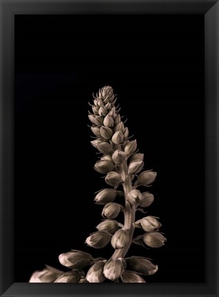 Framed Upwards 2 Print