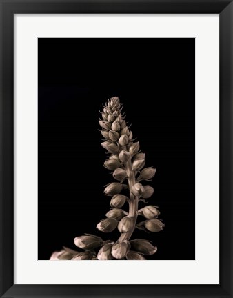 Framed Upwards 2 Print