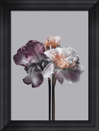 Framed Virtue 1 Print