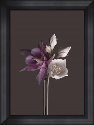 Framed Virtue 2 Print