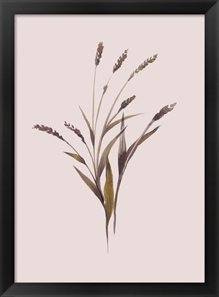 Framed Wheat Print