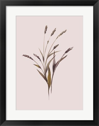 Framed Wheat Print