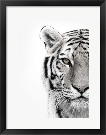 Framed White Tiger Print