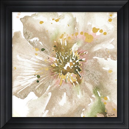 Framed Neutral Watercolor Poppy Close Up II Print