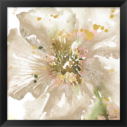 Framed Neutral Watercolor Poppy Close Up II Print