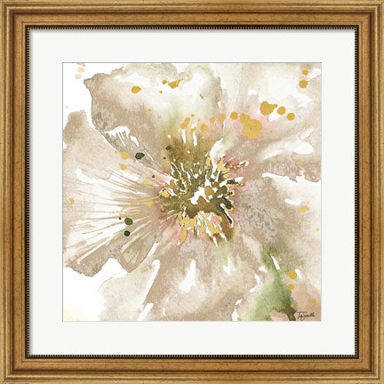 Framed Neutral Watercolor Poppy Close Up II Print