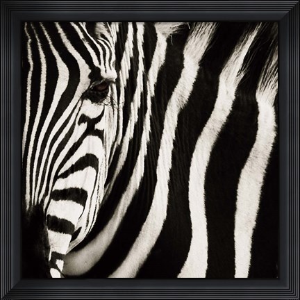 Framed Camouflage I Print