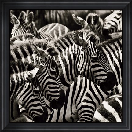 Framed Camouflage II Print