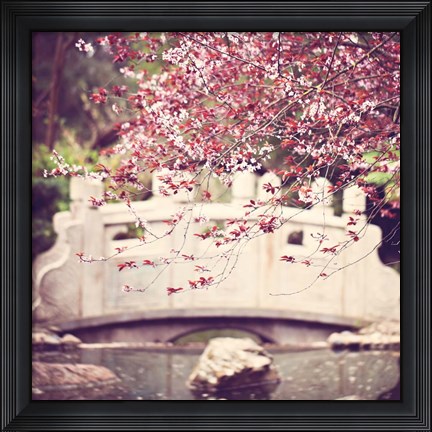 Framed Blush Print