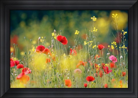 Framed Just a Perfect Day Print