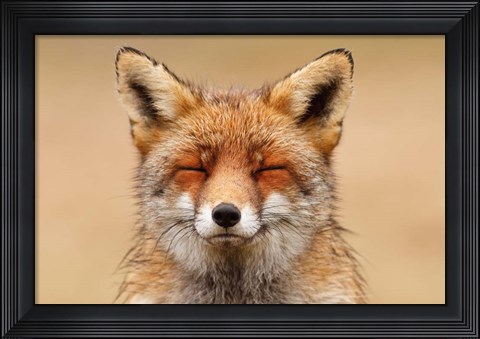 Framed Zen Fox Red Portrait Print