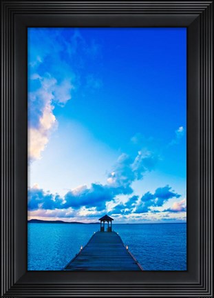 Framed Dock Print