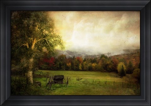 Framed Abandoned Wagon Print
