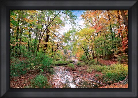 Framed Autumn at Hopkins Pond Print