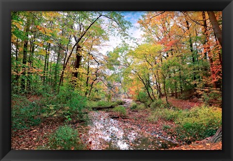 Framed Autumn at Hopkins Pond Print