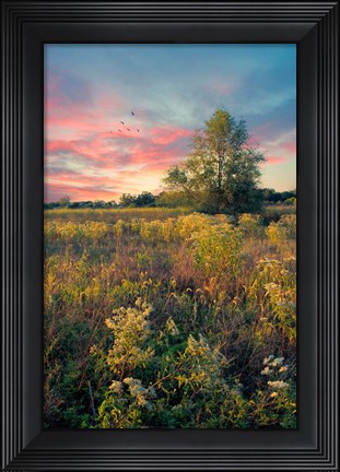 Framed Grateful for the Day Print