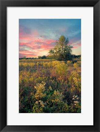 Framed Grateful for the Day Print