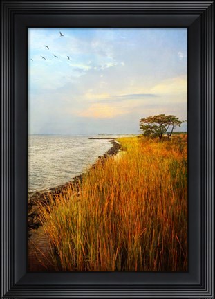 Framed Morning Has Broken Print