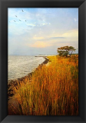 Framed Morning Has Broken Print