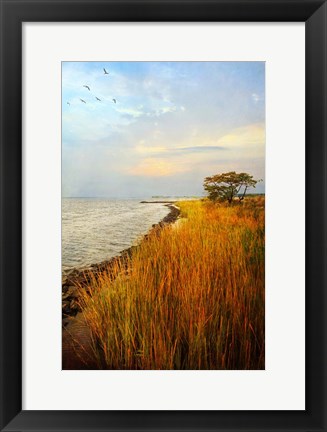 Framed Morning Has Broken Print