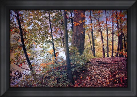 Framed Season of Colors Print