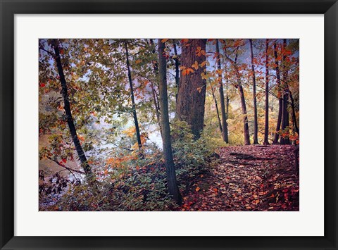 Framed Season of Colors Print