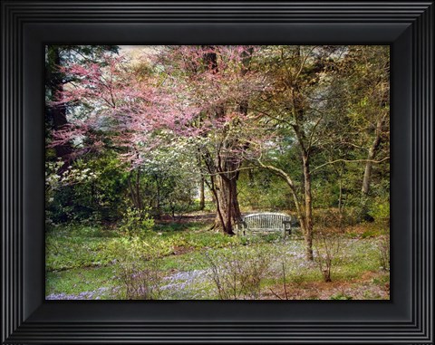 Framed Spring Print