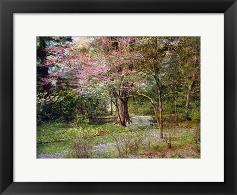 Framed Spring Print
