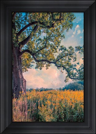 Framed Where I Daydream Print