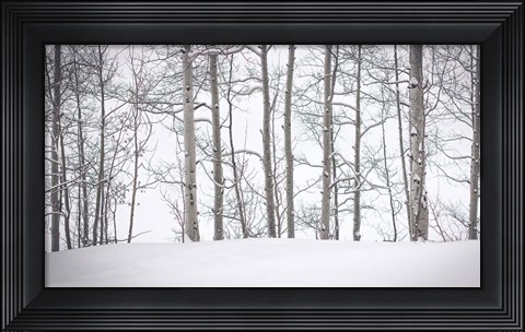 Framed Behind Cloister Doors Print