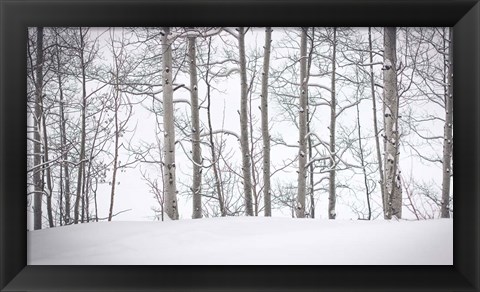 Framed Behind Cloister Doors Print