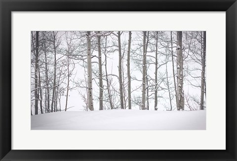 Framed Behind Cloister Doors Print