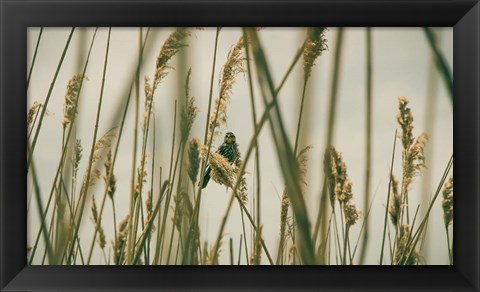 Framed Even The Skies Have Limits Print