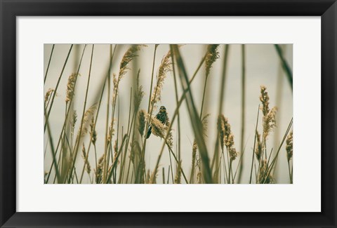 Framed Even The Skies Have Limits Print