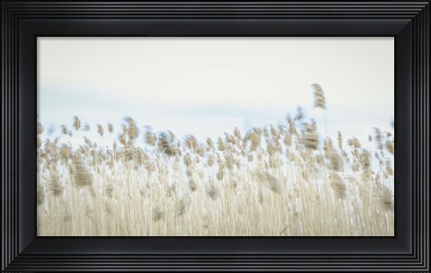 Framed Weaving Through Earth and Sky Print