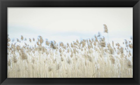 Framed Weaving Through Earth and Sky Print