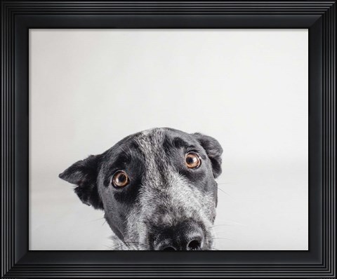 Framed Blue Zuck Print