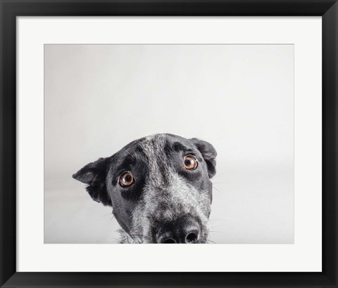 Framed Blue Zuck Print
