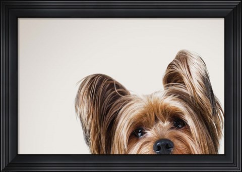Framed Jeri Print
