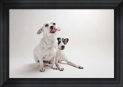 Framed Mouse &amp; Jack Print