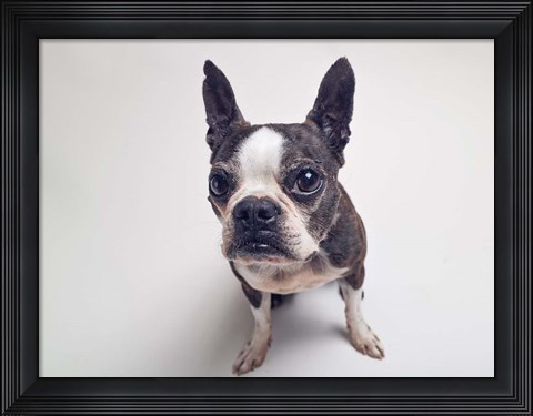 Framed Norton Moses Print