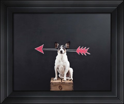 Framed Prankster Print