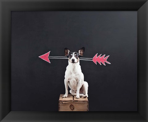 Framed Prankster Print