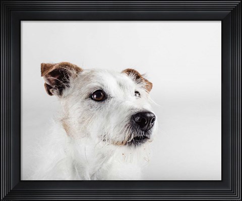 Framed Spike Zuck Print