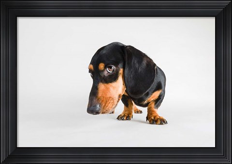 Framed Who, Me? Print