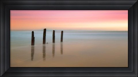 Framed Awakenings Print
