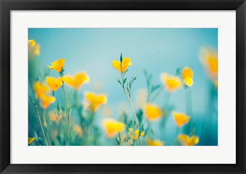 Framed California Dream Print