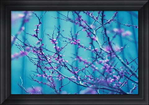 Framed Sacre Bleu Print