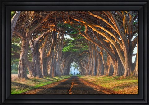 Framed Tunnel of Light Print