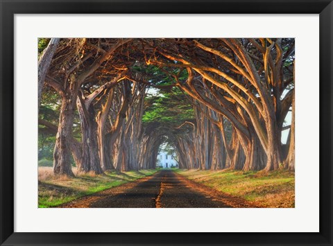 Framed Tunnel of Light Print